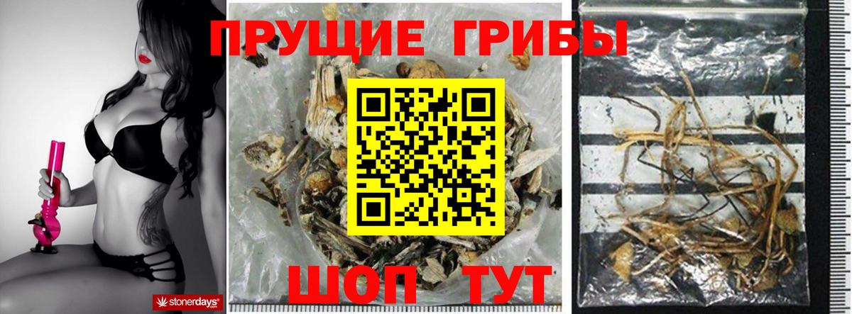 Галлюциногенные грибы GOLDEN TEACHER  Псилоцибиновые грибы GOLDEN TEACHER  Ивантеевка 